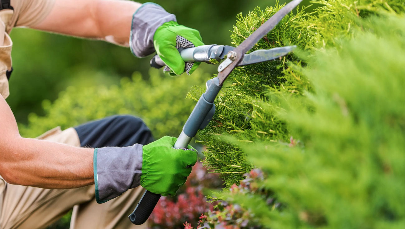 manutenzione-giardini
